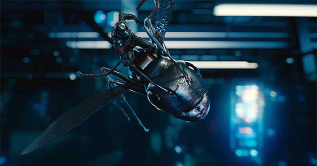 Đâu là siêu năng lực của Ant Man?