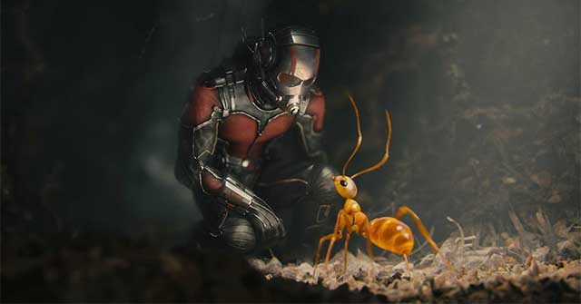 Ant Man xuất hiện lần đầu năm nào?