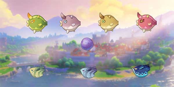 Tất cả các loài cá sử dụng mồi Sugardew