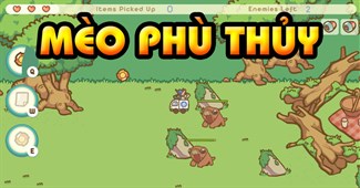 Mèo phù thủy