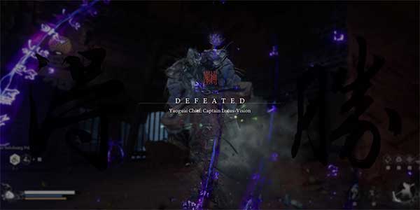 Captain Lotus-Vision