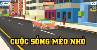 Cuộc sống mèo nhỏ