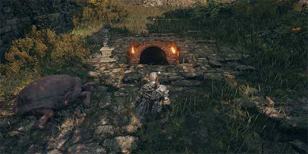 Green Turtle Talisman