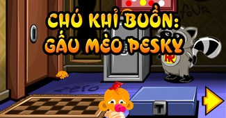 Chú khỉ buồn: Gấu mèo Pesky