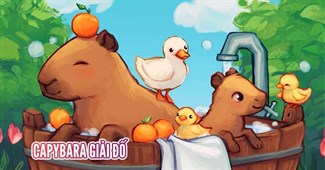 Capybara giải đố