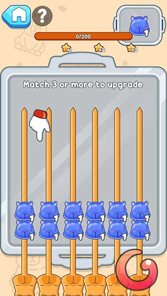 Ghép đầu Capybara