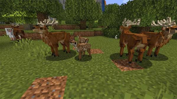 Trang trại Double Furnace Cooking