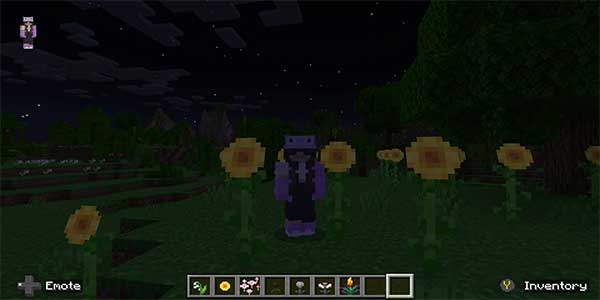 Hoa hướng dương