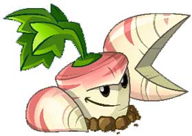 Củ cải đường