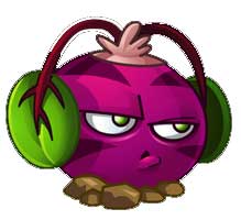 Phat Beet