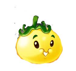 Solar Tomato