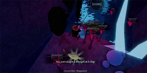 Hướng dẫn lên cấp nhanh trong Fisch