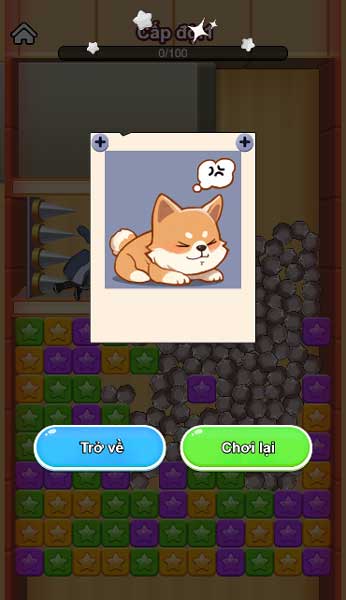 Hãy nhanh chóng giải quyết các câu đố để hoàn thành cấp độ