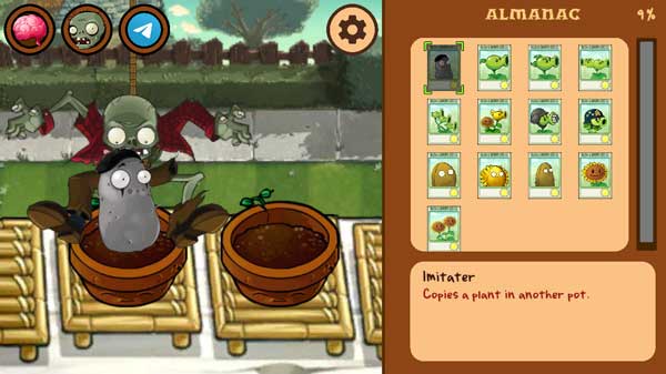 Chọn và đặt 2 mẫu cây trồng bất kỳ vào chậu