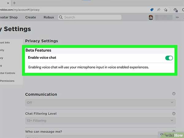 Kích hoạt Enable Voice Chat