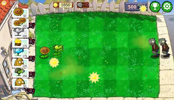 Đặt cây hoa hướng dương để thu thập năng lượng mặt trời