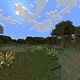 Minecraft: Cách lấy Firefly Bush nhanh chóng
