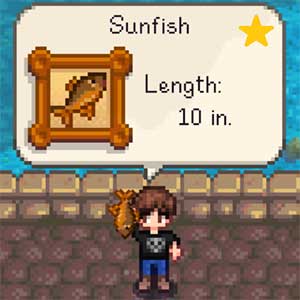 Cách bắt Linh Thể Ngân Hạ trong Stardew Valley