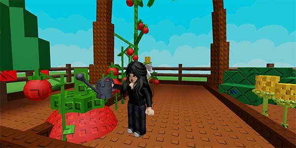 Cách kiếm tiền nhanh trong Grow A Garden