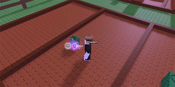 Hướng dẫn nhận Night Staff