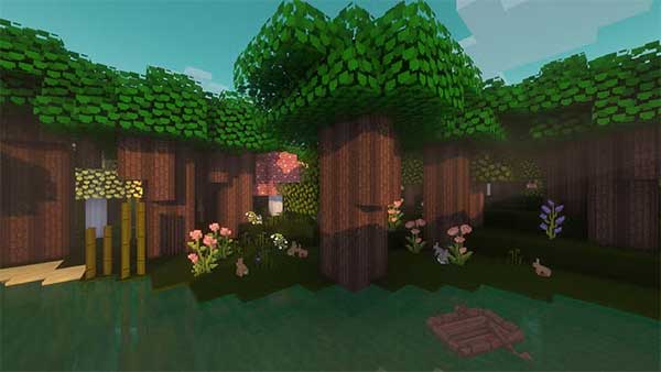 Những loài hoa bậc S