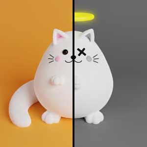 Mèo con tìm bạn