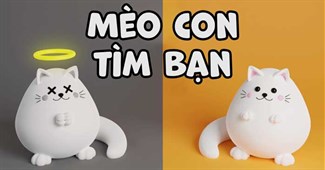 Mèo con tìm bạn