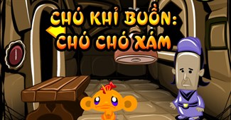 Chú khỉ buồn: Chú chó xám
