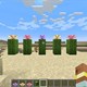 Minecraft: Tất cả những gì game thủ cần biết về Cactus Flowers