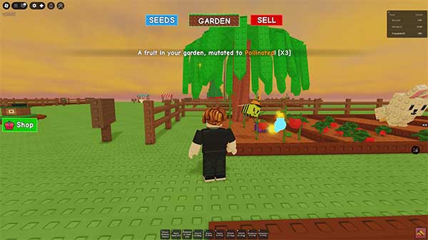 Tổng hợp sự kiện thời tiết trong Grow a Garden