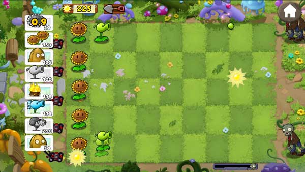 Đặt vị trí các cây trồng vào sân