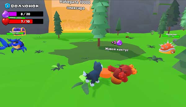 Thu thập năng lượng ma thuật