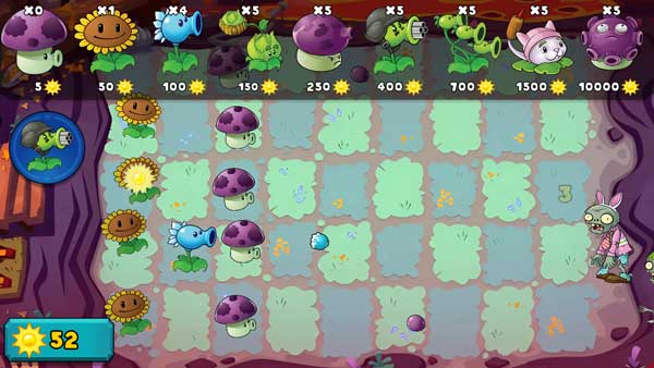 Tuyệt đối đừng quên cây hoa năng lượng ánh sáng