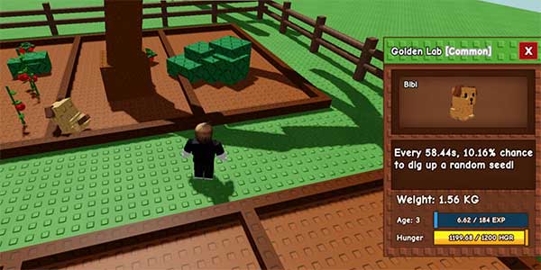 Lý do cần nâng cấp thú cưng trong Grow a Garden