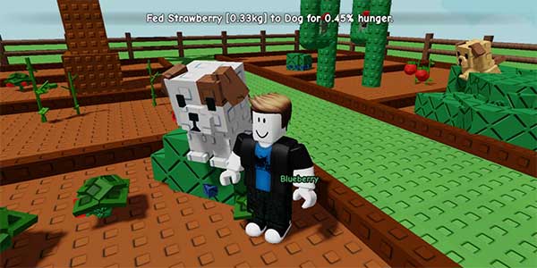 Cách thăng cấp thú cưng nhanh chóng trong Grow a Garden