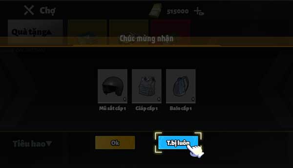 Trang bị vũ khí chiến đấu, giáp bảo vệ, thuốc hồi phục