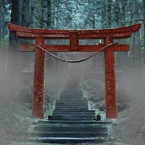 Đêm trong rừng Aokigahara