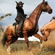 Red Dead Redemption 1: Xếp hạng những chú ngựa tốt nhất