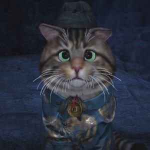 Where Winds Meet: Hướng dẫn giải câu đố Kaifeng Meow Meow