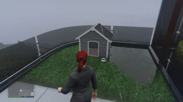 Cách sở hữu một chú chó trong GTA Online