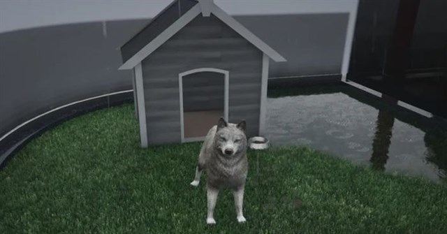 Cách nhận một chú chó trong GTA Online