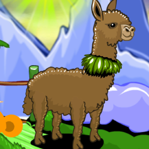 Chú khỉ buồn: Lạc đà không bướu