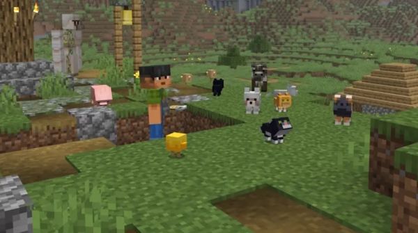 Bản cập nhật Minecraft tiếp theo sẽ ra mắt khi nào?