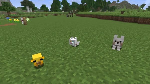 Tất cả các loại Mobs mới trong bản cập nhật Minecraft Spring Drop