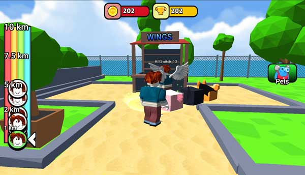 Mua phụ kiện cánh khi có đủ lượng đồng xu