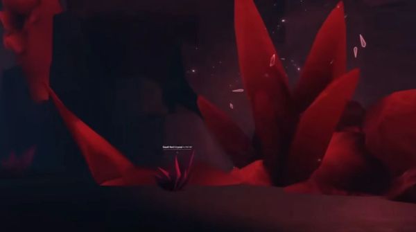 Tổng quan về Coinite