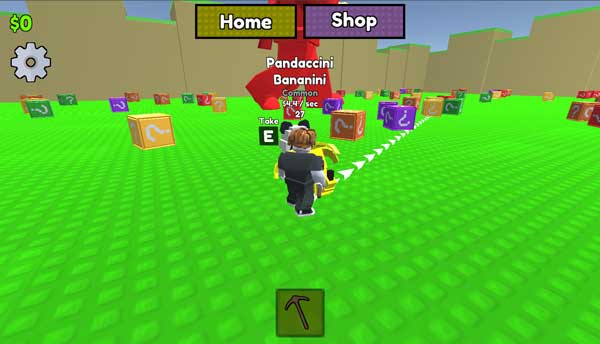 Bấm E để nhặt Pet