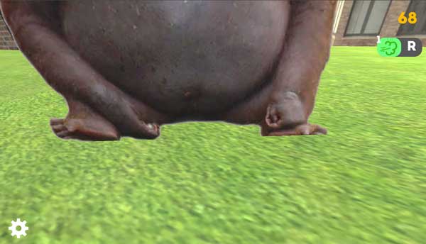 Chúng di chuyển rất nhanh và luôn đuổi theo bạn