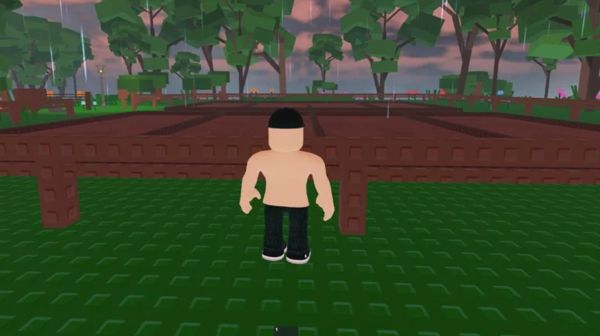 Hãy bắt đầu với những loại cây trồng phù hợp