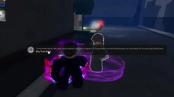 Bước 3 - Nói chuyện với NPC True Aizen Seller